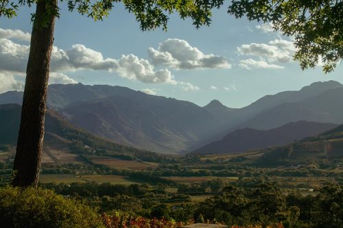 lpf-estate-views-gallery-20