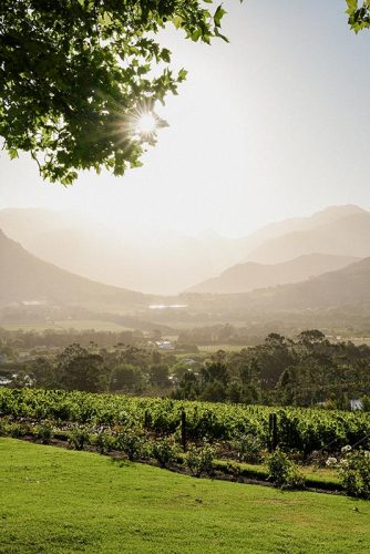 lpf-estate-views-gallery-3
