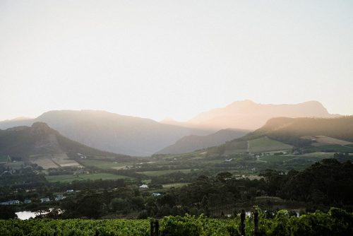 lpf-estate-views-gallery-4
