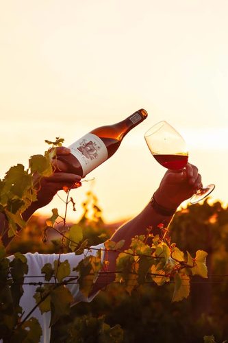 lpf-wine-gallery-8